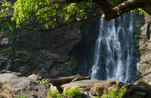 富农优配资源 常宁景点排行榜，湖南常宁值得一去的10个好玩景点，你去过几个？